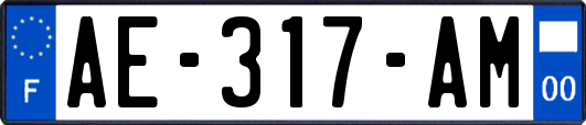 AE-317-AM