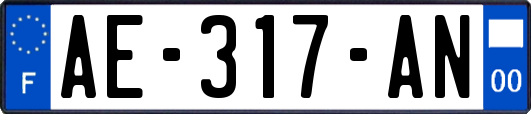 AE-317-AN