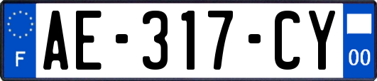 AE-317-CY