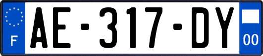 AE-317-DY