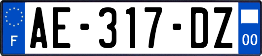 AE-317-DZ