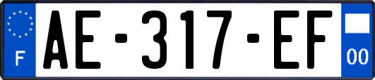 AE-317-EF