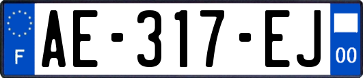 AE-317-EJ