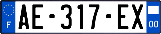 AE-317-EX