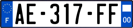 AE-317-FF