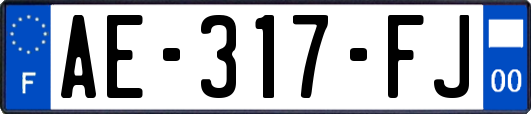 AE-317-FJ