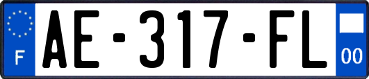 AE-317-FL