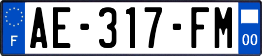 AE-317-FM