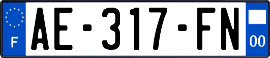 AE-317-FN