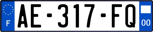 AE-317-FQ