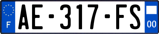 AE-317-FS