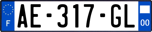 AE-317-GL