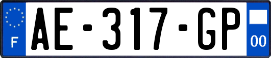 AE-317-GP