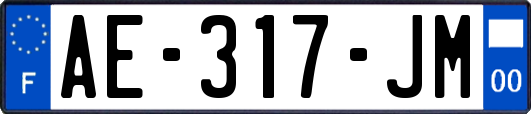 AE-317-JM
