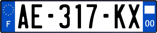 AE-317-KX