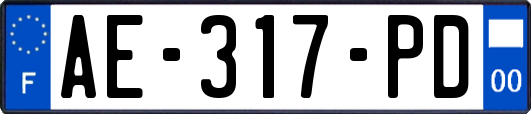 AE-317-PD
