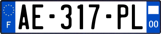 AE-317-PL