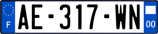 AE-317-WN