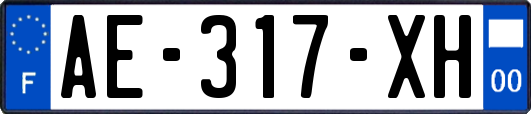 AE-317-XH