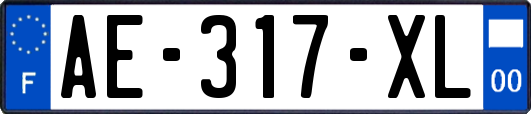 AE-317-XL