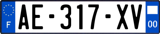 AE-317-XV
