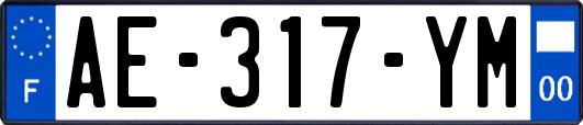 AE-317-YM