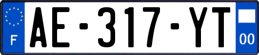 AE-317-YT