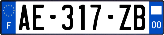 AE-317-ZB