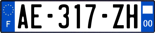 AE-317-ZH