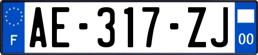 AE-317-ZJ