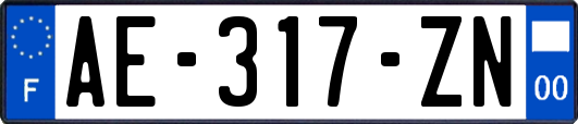 AE-317-ZN