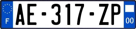 AE-317-ZP