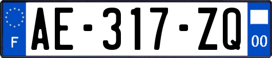 AE-317-ZQ