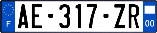 AE-317-ZR