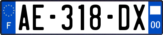 AE-318-DX