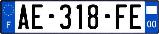 AE-318-FE