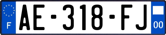 AE-318-FJ