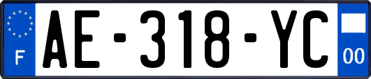 AE-318-YC