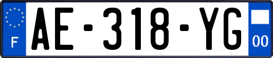 AE-318-YG