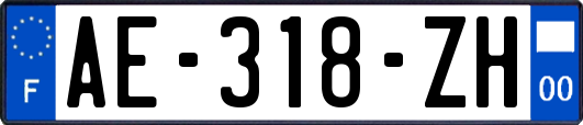 AE-318-ZH