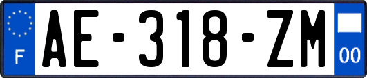 AE-318-ZM