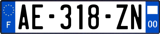 AE-318-ZN