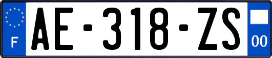 AE-318-ZS