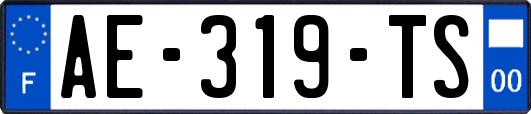 AE-319-TS