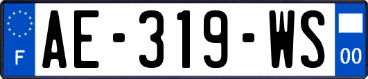 AE-319-WS
