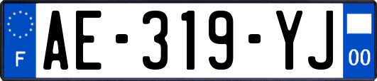 AE-319-YJ