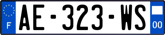 AE-323-WS