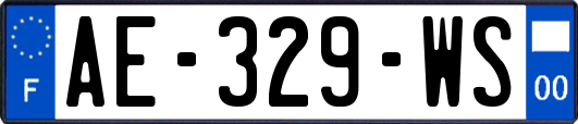 AE-329-WS