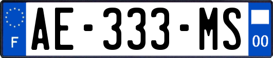 AE-333-MS