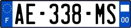 AE-338-MS